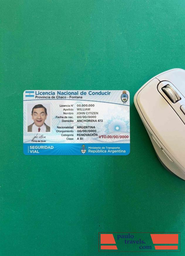 Argentina DL photolook FRONT PSD template